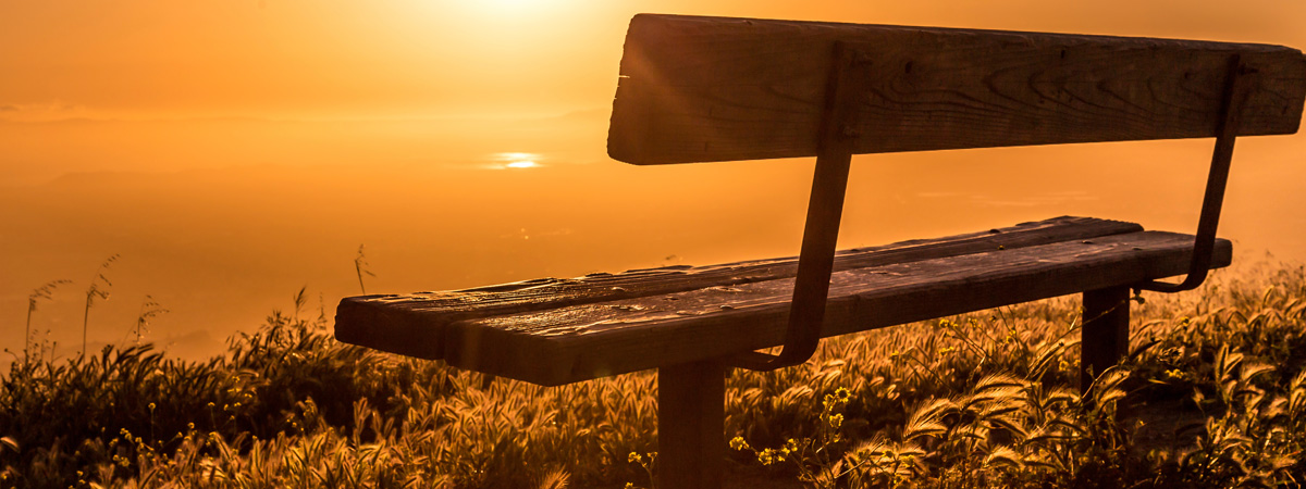 Banner1